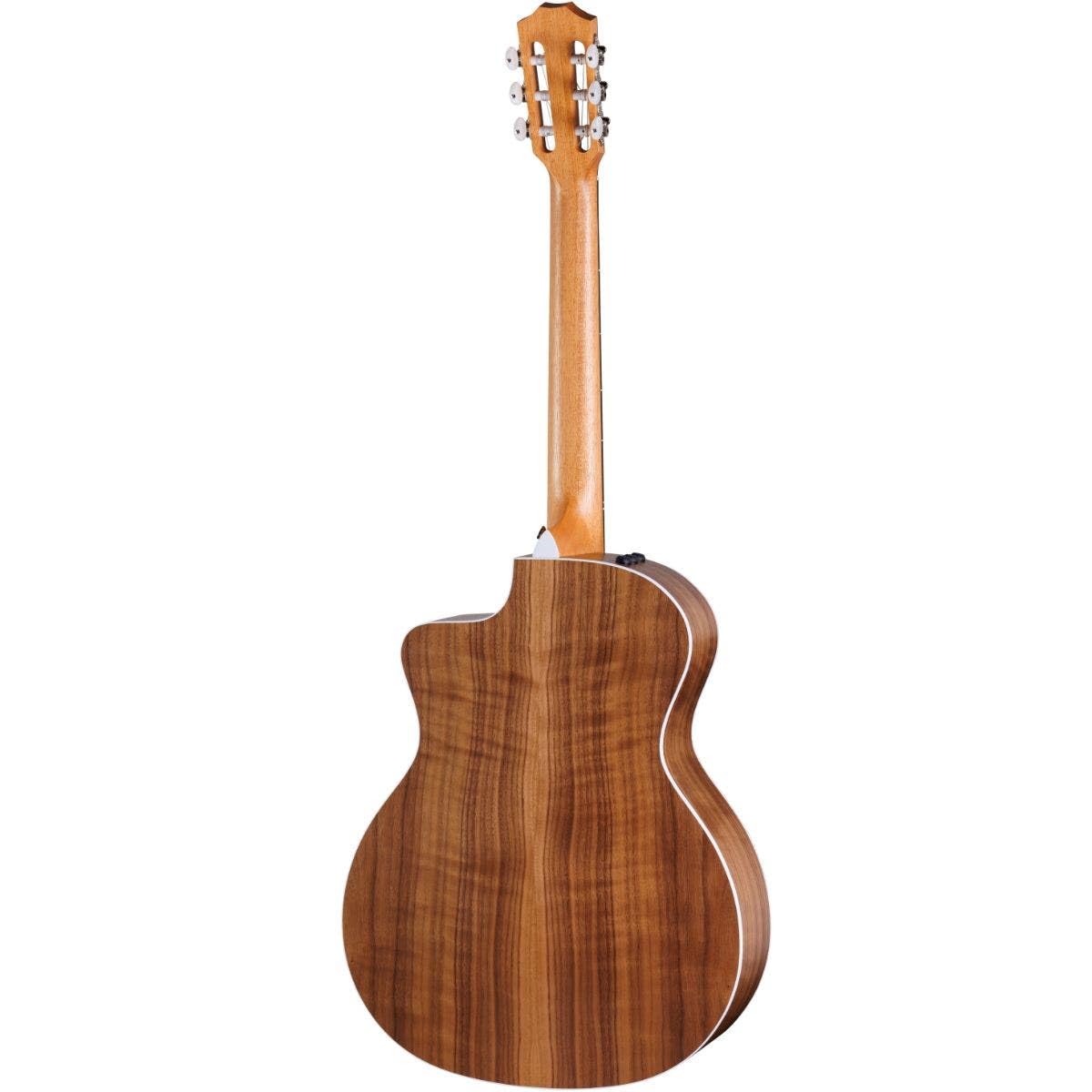 Amazon | Taylor 214ce-N ナイロン弦アコースティックエレキギター